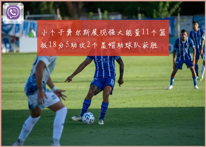 小个子费尔斯展现强大能量11个篮板18分5助攻2个盖帽助球队获胜